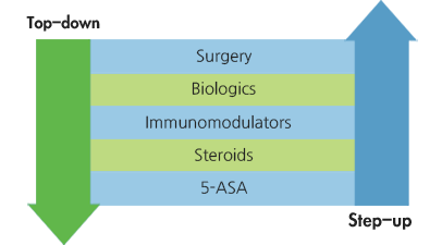 Step up : 약한 약에서 강한 약으로 서서히 바꾸는 치료, Top Down : 강한 약으로 증상을 호전시킨 후 약한 약으로 바꿔나가는 치료 전략