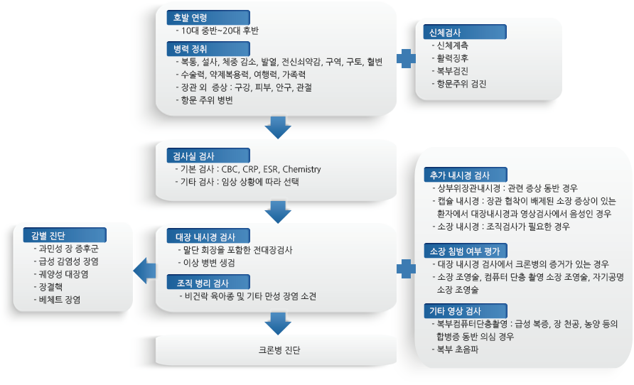 크론병 진단 및 검사 절차